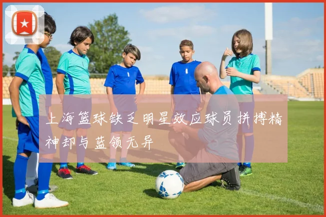 上海篮球缺乏明星效应球员拼搏精神却与蓝领无异
