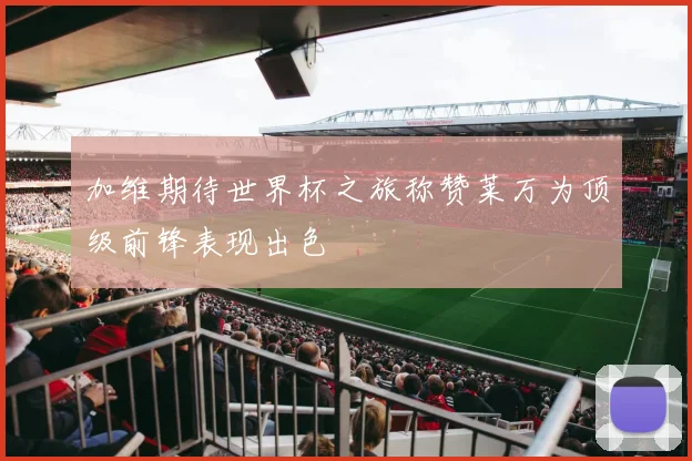 加维期待世界杯之旅称赞莱万为顶级前锋表现出色