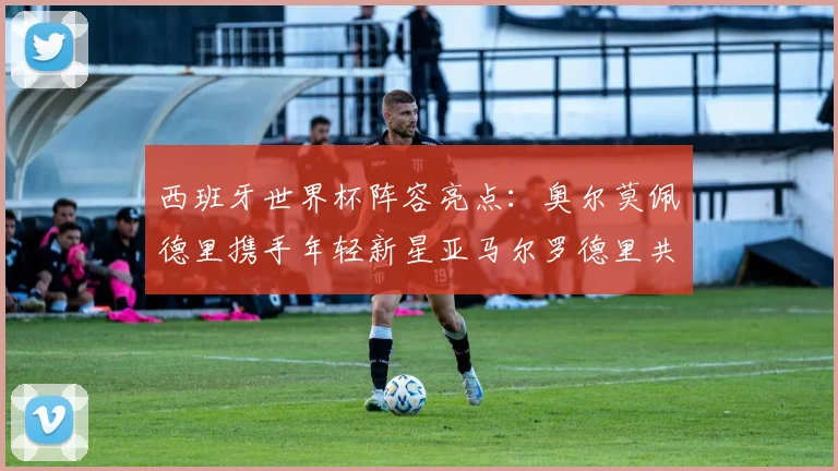 西班牙世界杯阵容亮点：奥尔莫佩德里携手年轻新星亚马尔罗德里共赴荣耀之战